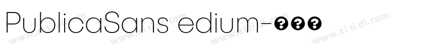 PublicaSans edium字体转换
